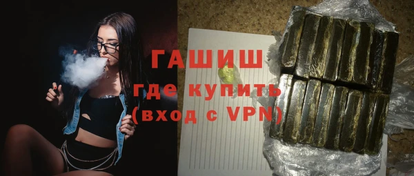 индика Осинники
