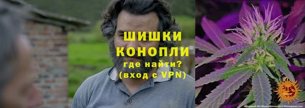не бодяженный Осташков