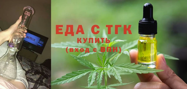 индика Осинники