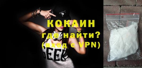 индика Осинники