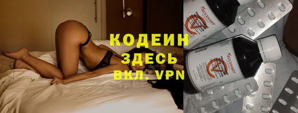 индика Осинники
