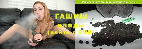 индика Осинники