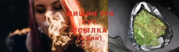 индика Осинники