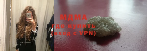 индика Осинники