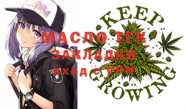 индика Осинники