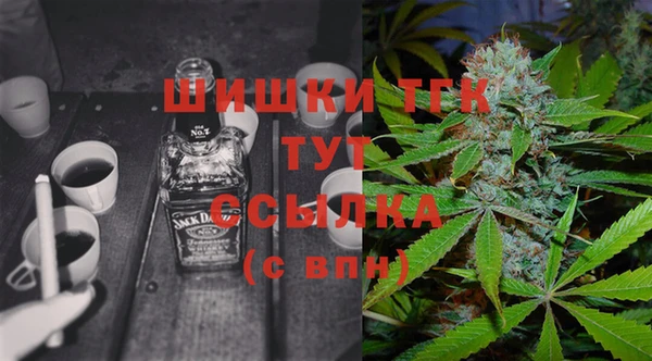 индика Осинники