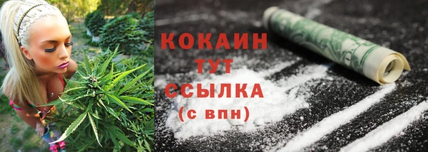 не бодяженный Осташков