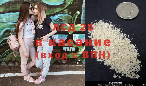 индика Осинники