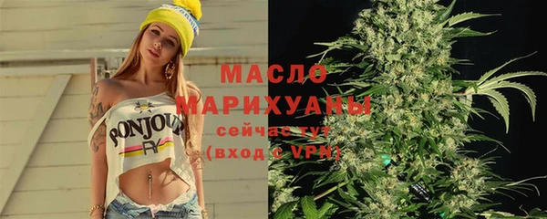 индика Осинники