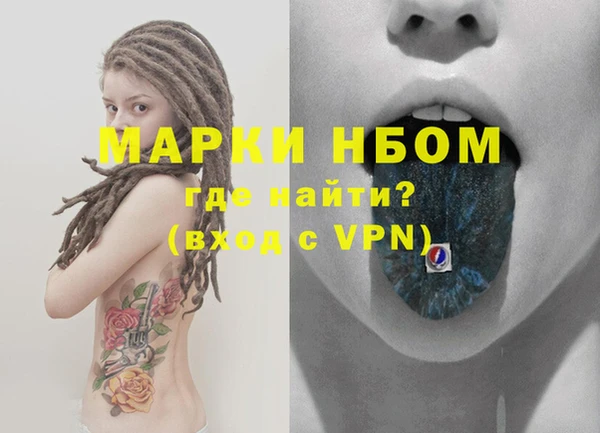 индика Осинники