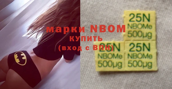 индика Осинники