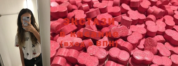 индика Осинники