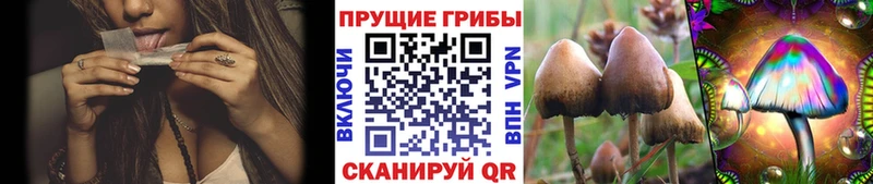 Псилоцибиновые грибы Psilocybe  Алушта 