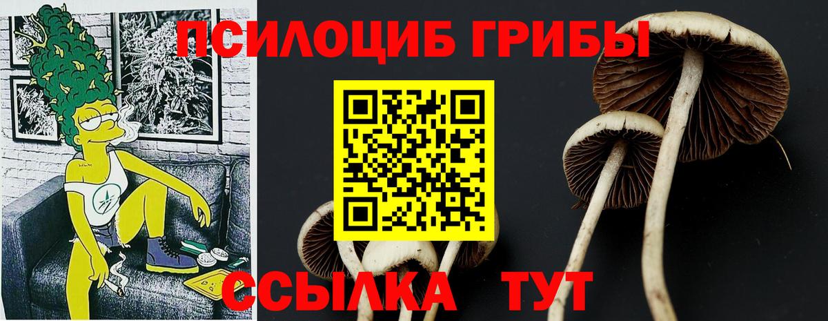 Галлюциногенные грибы GOLDEN TEACHER  Псилоцибиновые грибы ЛСД  Алушта 