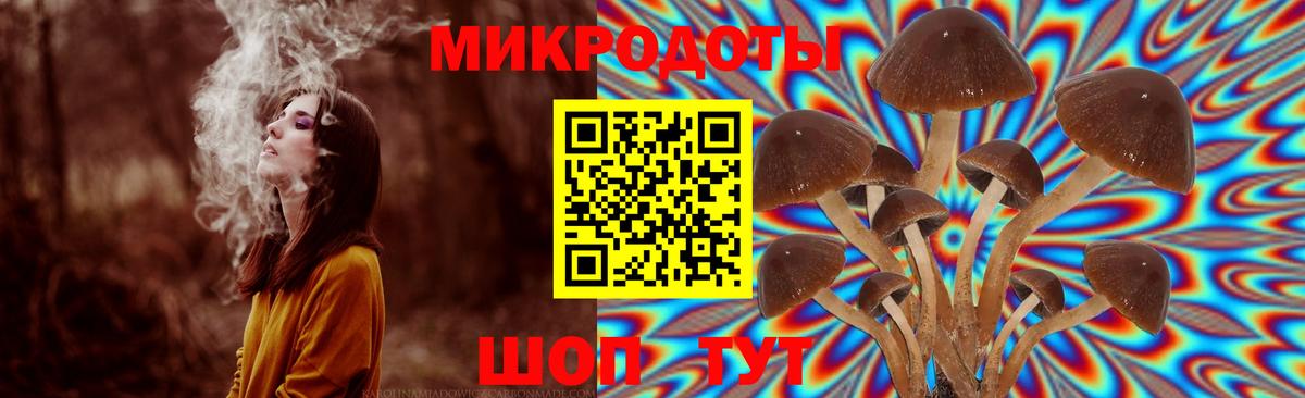 Алушта  Галлюциногенные грибы Cubensis  Галлюциногенные грибы Cubensis  Вход с VPN 